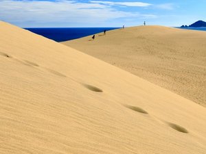 【当館から車で12分】日本最大級の砂丘で、風紋や砂簾など雄大な景色が楽しめる「鳥取砂丘」