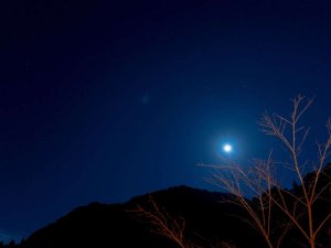 グランピングだから体験できる夜空観賞。