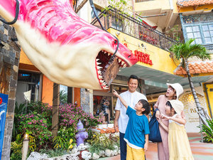 �y���l�A�����J���r���b�W�z�z�e������k�������I