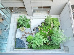 ■中庭:真上からの眺め