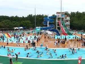 【宮崎市フェニックス自然動物園】プール営業日は動物園HPにてご確認ください。※プールは別途有料です。