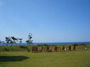 �y�i�F�z�z�e���̎Ő��L�ꂩ�璭�߂���{�C�ƏH����̋�