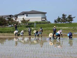 �y���n��N�̐��z���q���܂ƃX�^�b�t�Ŏ�āF�ܕS���΂̓c�A�������{�B