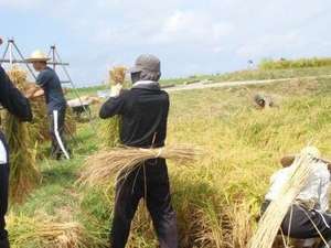 �y���n��N�̐��z9�����B���Ă̊Â݂��������Ă�ׂ͂������ɂ��܂��B