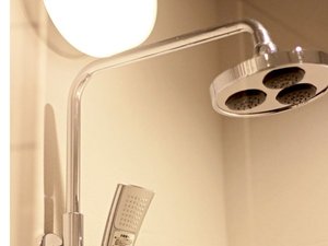 �������C���Ȃ��g�}�[���ł����A�������̃V�����[�ŏ����ł������b�N�X���Ă���������Ɗ������ł�