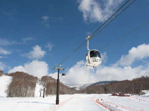 �y���ӁE�i�ρz�S���h�����t�g�m���h���̂��q�l�ɂ͗D���ԓ��T�t���n