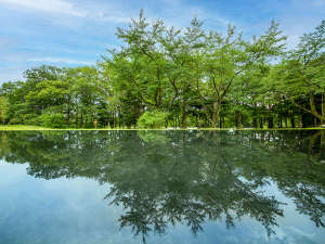 「蔵王の森」がつくる美と健康の温泉宿　ゆと森倶楽部の施設写真1