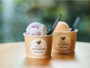 パティシエがつくるベジフルジェラート