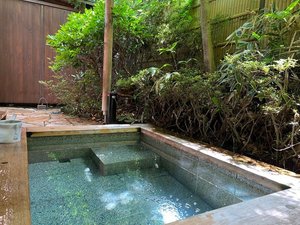 �ʊفF302�I�V���C
