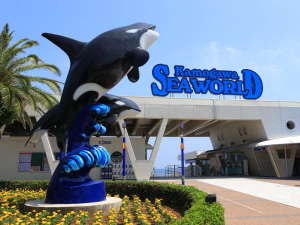 鴨川シーワールド 当館からお車で約50分