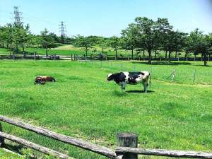 油山牧場【提供:福岡市】