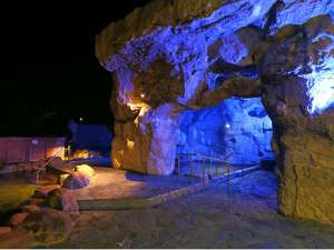 青の洞窟温泉　ピパの湯　ゆ～りん館の施設写真1
