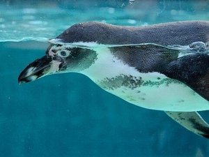 �y���ӊό��z���H������