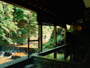 春の露天風呂からの景色。