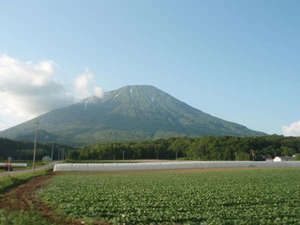 夏の羊蹄山。富士山によく似た整った姿から、蝦夷富士とも称されています。