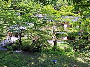 初夏の軽井沢は涼しくて過ごしやすいですよ!