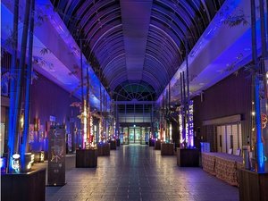 s|̋򖜗t̓ zesG~i[X̎ʐ^