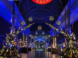 ���s�|�̋����򖜗t�̓� �z�e�����s�G�~�i�[�X�̎{�ݎʐ^1