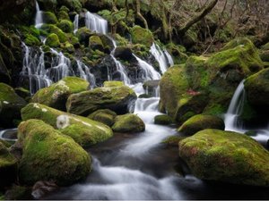 にかほ市最高の癒しスポット!元滝伏流水です都会から来たら感動するかも、、、✨
