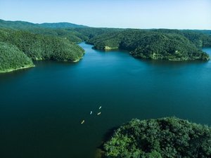 【世界自然遺産エリア】シャワークライミング、ナイトパトロールツアーなどの自然体験が可能です