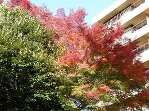 山翠楼SANSUIROUの写真