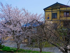�y���i�F�z���N�A3��������4����{�ɂ����āA�O��O�̍������J�ƂȂ�܂��I