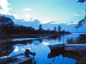 �y���挧:�q�g�E�����l�z�ΐ�t �{����