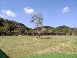 WIN VILLAGE�̎{�ݎʐ^1