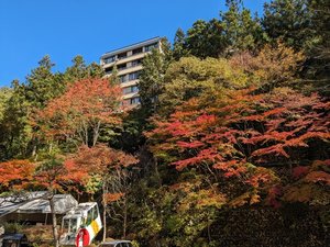 �l�C�̘I�V���C�t���q���Ɣ����ɘa�ޏh�@���̂���̎ʐ^