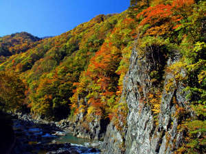 【苗場山麓ジオパーク(秋)】布岩周辺の、秋の紅葉と青空。≪見頃:10月中旬〜11月初旬≫