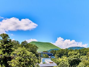 ���ォ��͑厺�R�������܂��B