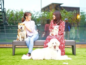 【屋外ドッグラン(中庭)】ワンちゃんと愛犬家に好評のドッグラン