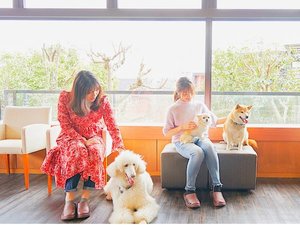 【屋内ドッグラン】雨の日も安心の館内施設