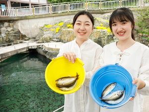 【ホテル金波楼隣接】城崎マリンワールド(アジ釣り)気軽にフィッシング。竿もエサも道具はご用意。