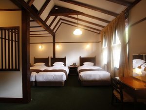 �y�q��/�X�[�y���A�g���v���z�J��������V��Ƃ��炩�Ȍ�������������