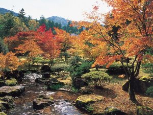 【万葉の里味真野苑】秋には紅葉に囲まれながら万葉のロマンにひたることができます。