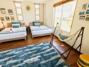 Blue Bird�̎{�ݎʐ^1