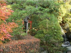 秋の日本庭園「曲水の庭」