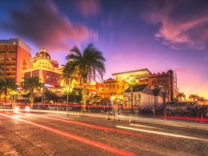 ���l�A�����J���r���b�W�@���{�݂�肨�Ԃ�10��