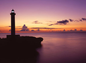 �c�g���@���{�݂���Ԃ�25��