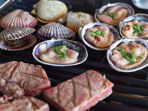 Coccia House̎{ݎʐ^1