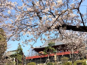 ��쉶���������w�܂œd�Ԃ�4��