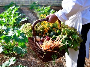 自然農法で育てた自家農園「OUR FARM」産の野菜やハーブをでシェフ自らが吟味してご提供します。