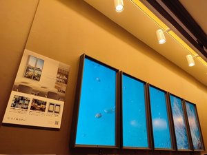 ATMOPH WINDOW