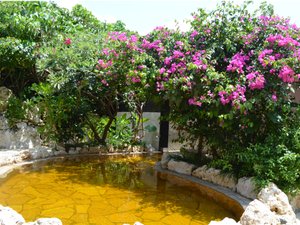 【シギラ黄金温泉（リゾート内）/露天風呂】緑と花々に囲まれた開放的な空間です。