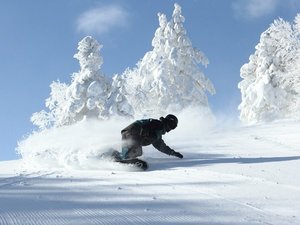 ���t�g���t���v���������\��ł��I