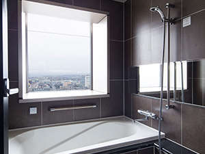 GRAN Executive �r���[�o�X
