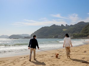 海辺の散歩