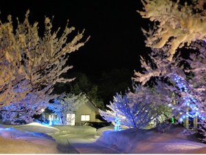 ����̃y���V�����������^���b�������@�N���\���̎ʐ^