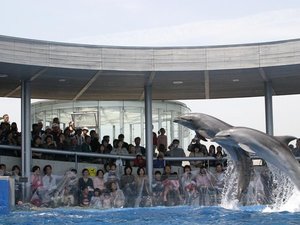 ◆周辺観光|うみたまご(公共交通機関で約25分)